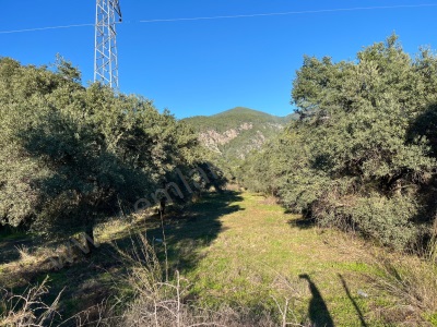Muğla Köyceğiz Ekincikte Yatırma Uygun 3 300 M2 Arazi Satılık Tarla