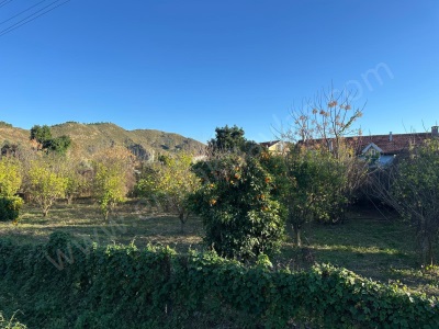 Ortaca Fevziye De 530 M2 İmarlı Satılık Arsa