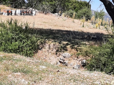 Denizli Çameli Merkezde 400 M2 %3060 İmarlı Acil Satılık Arsa