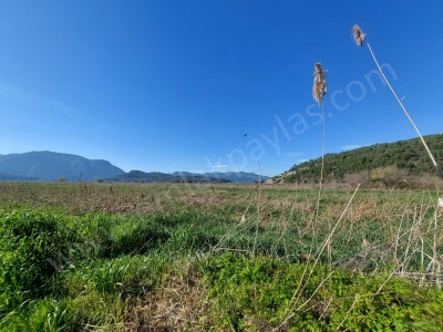 Muğla Ortaca Güzelyurtta Satılık Arazi Verimli 6 350 M2