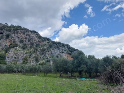 Muğla Köyceğiz Çandırda Dalyan Kanalına Yakın 3 750 M2 Satılık Arazi