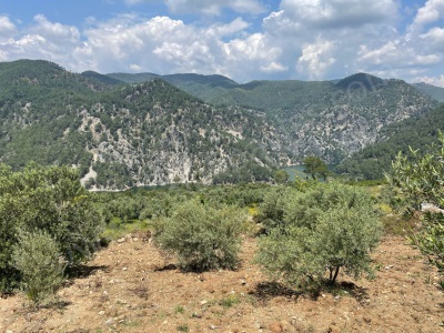 Dalaman Bozbel Baraj Tarafında 500M2 Satılık Arazi