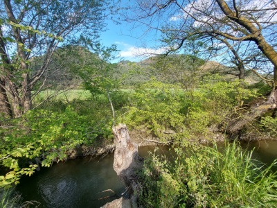 Muğla Ortaca Eskiköyde 12 805 M2 Hisseli Rızai Taksim Olan Satılık Tarla