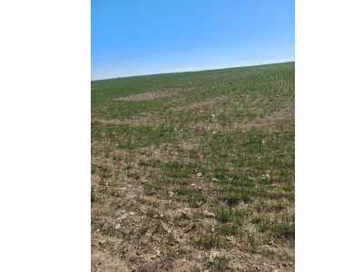 Terrain For Sale in  Turkey, Konya, Kadinhani,  , 650000 m2