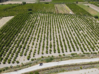 Ortaca Mergenli De 13 500 M2 Satılık Tarla