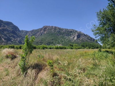 Muğla Marmarlıda 5800 M2 İmar Planı İçinde Yatırıma Uygun Satılık Arsa Ortaca Okçular