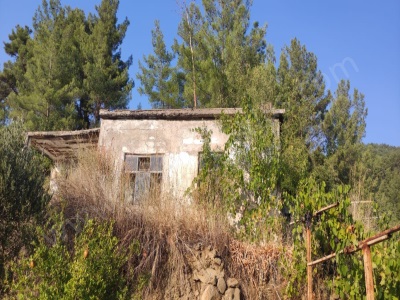 Muğla Dalaman Elcik 1 100 M2 Müstakil Arazide 60 Köy Ev Satılık Çiftlik