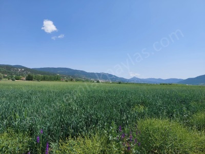 Çameli Bıçakçıda Satılık Arsa Kelepir Arazi – 5 333 M² Müstakil Tapulu