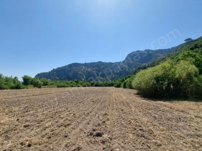Muğla Okçular Marmarlıda 7 750 M2 İmar Planı İçinde Yatırıma Uygun Kelepir Satılık Arsa Ortaca