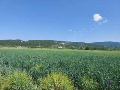 Denizli Çameli Kızılyakada Satılık Arazi Arazi1500 M2 Müstakil Tapulu Kelepir