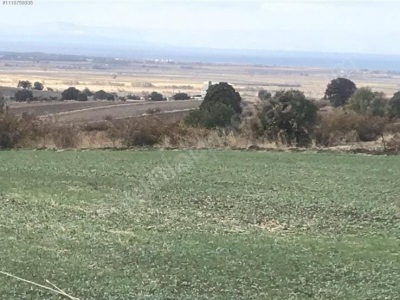 Çanakkale Biga Koruoba Da Deniz Manzaralı Kelepir 9 715 M2 Müstakil Tapulu Verimli Satılık Arazi