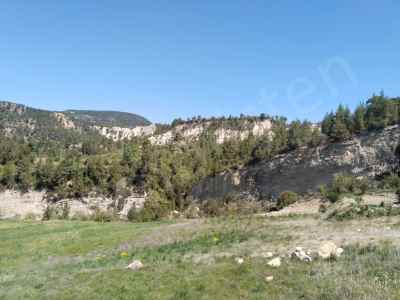 Land Kaufen In  Türkei, Denizli, Cameli,  , 20000 m2