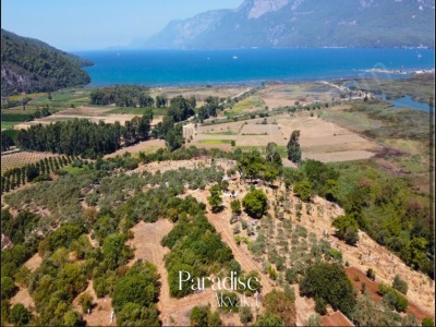 Ula Gökçede Deniz Manzaralı 600 M2 Koop Hissesi Satılık Arazi