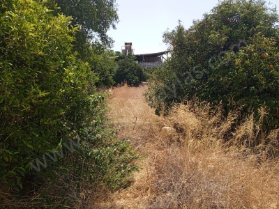 Ortaca Çaylı Da Merkezi Konum 430 M2 Satılık Arsa