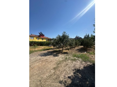 Ortaca Ekşiliyurt Da 538 M2 Satılık Arsa