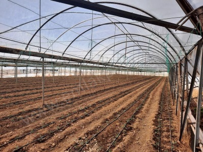 Muğla Ortaca Eskiköyde 4 000 M² Tünel Sera – 2 Yıl Ücretsiz Kiralık Arazi