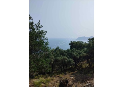 Muğla Köyceğiz Çandırda 20 000 M² Deniz Manzaralı 2B Arazi Kullanım Hakkı Devren Satılık Tarla