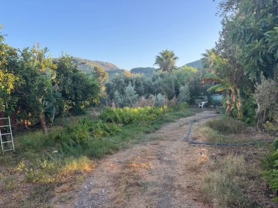 Muğla Ortaca Okçularda Konumu İyi 650 M2 Konut İmarlı Arsa Satılık Arazi