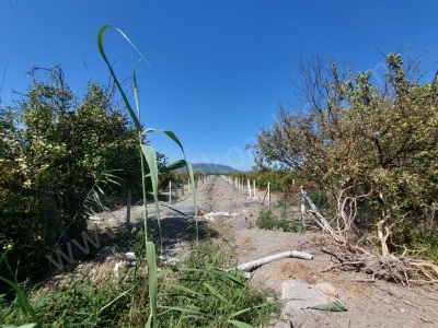 Ortaca Tepearasında 8126 M2 Yatırım Ve Zirayi Krediye Uygun Nar Bahçesi Satılık Tarla Tarlao