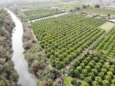 Muğla Ortaca Akıncı Da 18 Dönüm Satılık Tarla