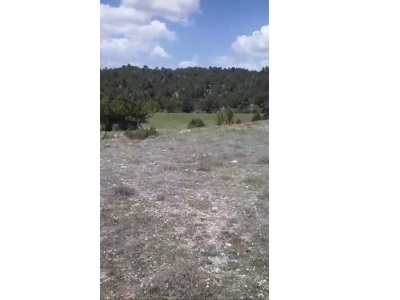 Çameli Ayvacık Ta 1770 M2 Satılık Tarla