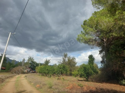 Muğla Köyceğiz Pınar Köyde Muhteşem Manzaralı 2 Ayrı Parsel Satılık Arsa