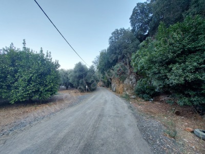 Muğla Ortaca Karadonlar Da 1 300 M2 Müstakil 250M2 Konut İmarlı Satılık Arsa