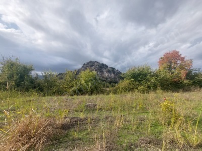Mugla Dalyan Da Müstakil 15 000 M2 250 İnşaat Hakkı Olan Satılık Arazi Ortaca