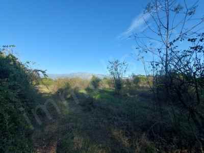 Land Kaufen In  Türkei, Mugla, Koycegiz, Toparlar , 9600 m2