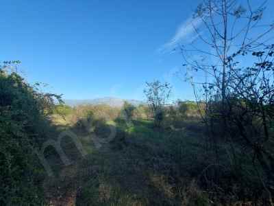 Terrain For Sale in  Turkey, Mugla, Koycegiz, Toparlar , 9600 m2