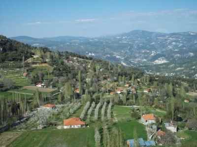 Terrain For Sale in  Turkey, Denizli, Cameli,  , 521 m2