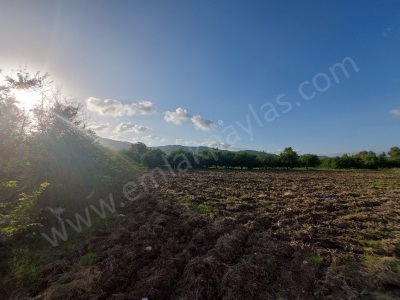 Muğla Ortaca Dalaklı 2 000 M2 400 İnşaat Hakkı Olan Satılık Arsa Konut İmarlı