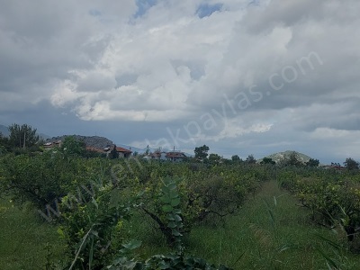 Mugla Dalyan Da 150 M2 İnşaat Hakkı Olan 5 000 Satılık Arazi Ortaca