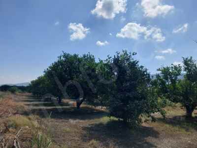 Terrain For Sale in  Turkey, Mugla, Ortaca, Okcular , 500 m2