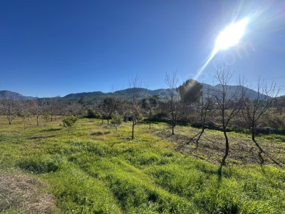 Muğla Dalaman Karaağaçta 1527 M2 İmarlı Satılık Arsa Karacaagaç