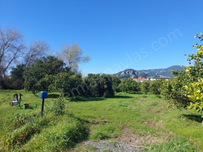 Dalyan İmar Planına Sıfır 507M2 Satılık Arsa Veya Ortacadan Daire İle Takas Olur