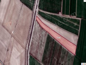 SÜLEYMAN YAZIBELEN DE GÜVENÇ E YAKIN 32.000 M2 TARLA SATIYOR.