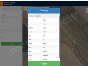 DADAŞKENTTE YATIRIMLIK 8669 m² TARLA İMAR SINIRINDA VE YOLA YAKIN  ÇINARDAN İlan No: 4919