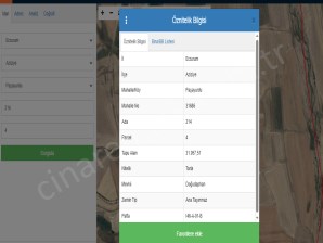 PAŞAYURDUNDA SATILIK TARLA ÇINARDAN İlanNo:5104