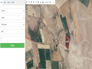 AZİZİYE KAHRAMANLARDA SATILIK YOLA YAKIN TARLA ÇINARDAN İlan No: 5146