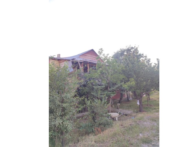 ÇINARDAN TORTUM  DA  SATILIK BAHÇELİ EV 739