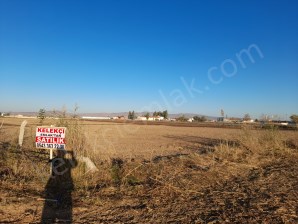 ÇEVRE YOLUNA YAKIN  TİCARİ ARSA