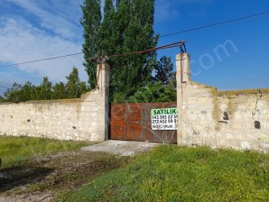 SELÇUKLU MAHALLESİNDE TAVUK ÇİFTLİĞİ