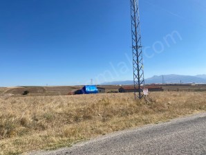 TAŞAĞIL YOLUNDA IPARDA UYGUN TARLA