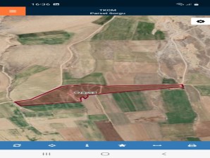 DİBEVLER KİLLİKTEPEDE TARLA