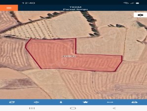 KIRIK MİNARE YANINDA TARLA