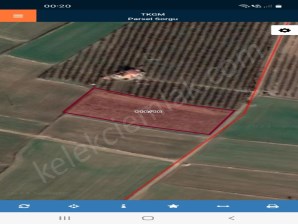 DİŞLİ KASABASINDA TARLA