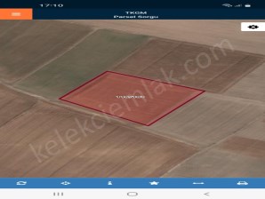 SARAYKIRI(YAKUPŞEVKİPAŞA)MAHALLESİNDE TARLA