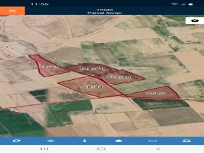 DİBEVLERDE SULU TARIMA ELVERİŞLİ 5 ADET TARLA TARLA