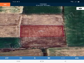 BOZKUŞTA(HACIÖMER MAHALLESİ)TARLA